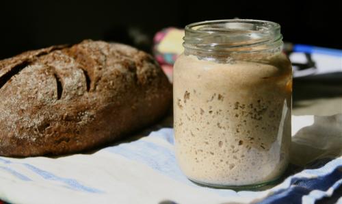 Закваска для хлеба картофельная. Хлеб на закваске картофельный 13