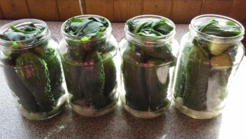 Маринованные огурцы с уксусом. Рецепт маринованных хрустящих огурцов с лимонной кислотой