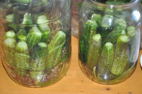 Засолка огурцов с гвоздикой. Солёные, зелёные, острые и хрустящие Солёные огурцы — короли всех праздничных столов. Редкая хозяйка не припасёт парочку банок этого традиционного яства к каждой семейной дате. И чтобы никто не остался разочарованным своими за 15 Засолка огурцов с гвоздикой. Солёные, зелёные, острые и хрустящие Солёные огурцы — короли всех праздничных столов. Редкая хозяйка не припасёт парочку банок этого традиционного яства к каждой семейной дате. И чтобы никто не остался разочарованным своими за 15