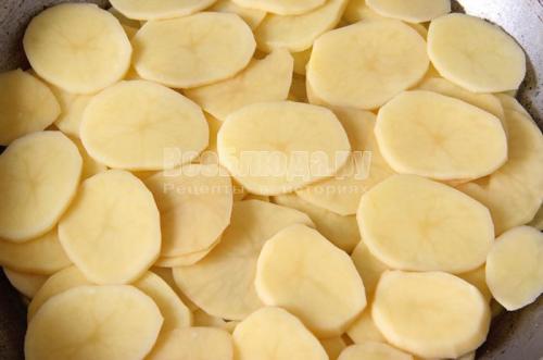 Жареная картошка с сосисками и сыром. Ленивая пицца: жареная картошка с сосисками под омлетом и сыром