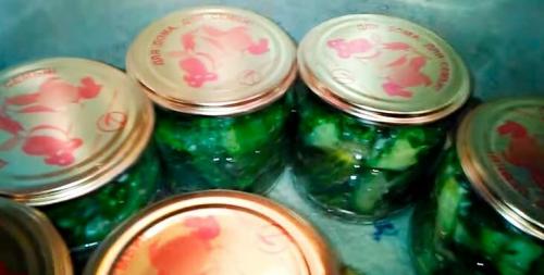 Салат из свежих огурцов на зиму. Салат из огурцов на зиму пальчики оближешь с луком