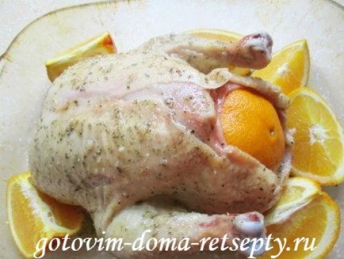 Курица с апельсинами и медом в духовке. Навигация по записям