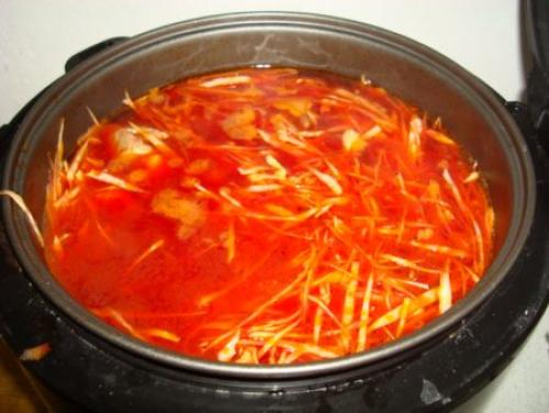 Борщ без зажарки в мультиварке с курицей. Рецепт борща с курицей для приготовления в мультиварке