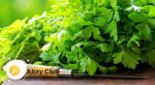 Лобио из стручковой фасоли. Как сделать лобио из стручковой фасоли по-грузински по пошаговому рецепту с фото