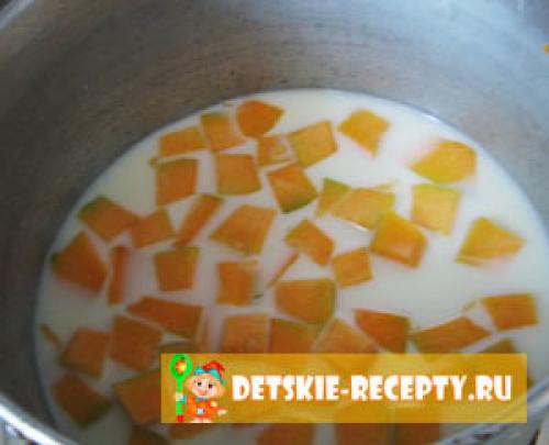 Жидкая пшенная каша с тыквой. Пшенная каша с тыквой для детей — Приготовление: