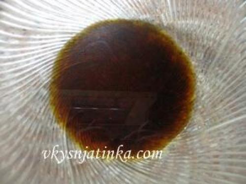 Жареная семга с овощами. Семга с овощами и грибами на сковороде рецепт с фото 09