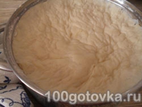 Дрожжевое тесто для пиццы из свежих дрожжей. Дрожжевое тесто для пиццы