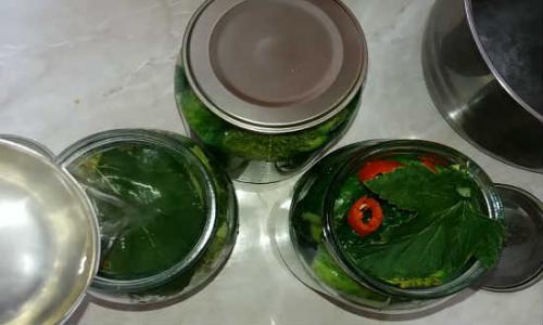 Маринование огурцов без сахара. Огурцы маринованные без сахара 15 Маринование огурцов без сахара. Огурцы маринованные без сахара 15