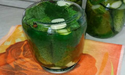 Маринование огурцов без сахара. Огурцы маринованные без сахара 19 Маринование огурцов без сахара. Огурцы маринованные без сахара 19