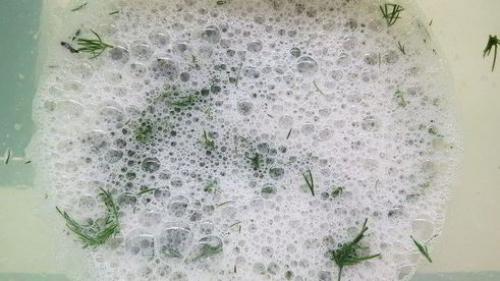 Омлет из белков с зеленью 02