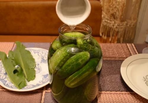Солёные огурцы на зиму без стерилизации лучший рецепт. Хрустящие соленые огурцы холодным способом. Рецепт на 3 литровую банку