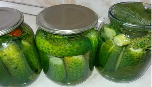 Маринование огурцов без сахара. Огурцы маринованные без сахара 16 Маринование огурцов без сахара. Огурцы маринованные без сахара 16