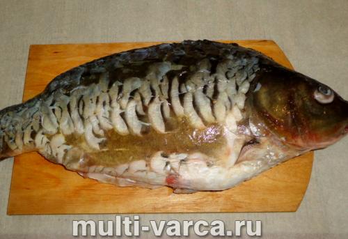 Запеченный карп в сливках. Как приготовить карпа в сливках, пошаговый рецепт с фото 28 Запеченный карп в сливках. Как приготовить карпа в сливках, пошаговый рецепт с фото 28