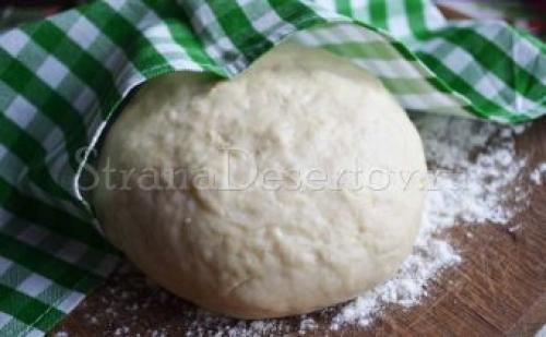 Тесто для пельменей в планетарном миксере. Идеальное тесто для домашних пельменей на воде и молоке