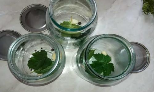 Маринование огурцов без сахара. Огурцы маринованные без сахара 12 Маринование огурцов без сахара. Огурцы маринованные без сахара 12