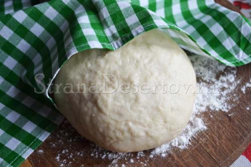 Тесто для пельменей в планетарном миксере. Идеальное тесто для домашних пельменей на воде и молоке