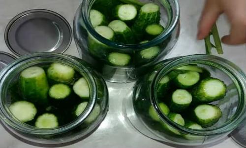 Маринование огурцов без сахара. Огурцы маринованные без сахара 13 Маринование огурцов без сахара. Огурцы маринованные без сахара 13