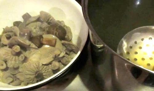 Рядовки грибы, как жарить. Консервирование рядовок (видео)