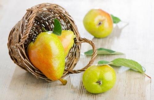 Пюре из яблок в микроволновке. Пюре из яблок в СВЧ-печи 13