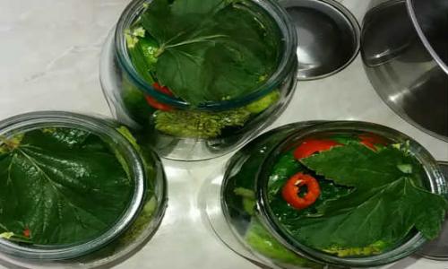 Маринование огурцов без сахара. Огурцы маринованные без сахара 14 Маринование огурцов без сахара. Огурцы маринованные без сахара 14