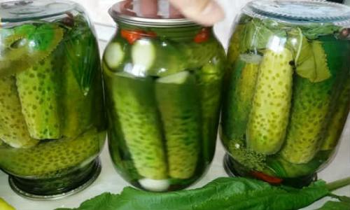 Маринование огурцов без сахара. Огурцы маринованные без сахара 18 Маринование огурцов без сахара. Огурцы маринованные без сахара 18