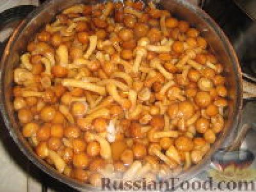 Как замариновать замороженные опята. Маринование замороженных опят