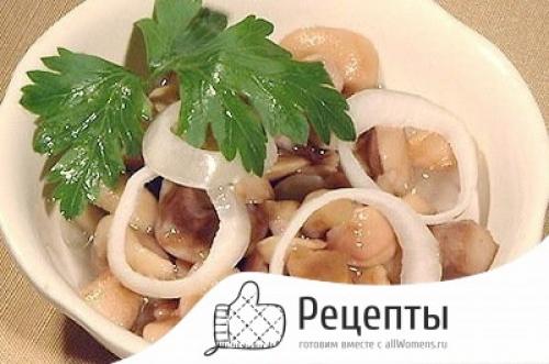 Замороженные маслята, как замариновать. Маринованные маслята, самый вкусный рецепт быстрого приготовления на зиму в банках 05