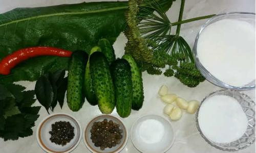 Маринование огурцов без сахара. Огурцы маринованные без сахара 11 Маринование огурцов без сахара. Огурцы маринованные без сахара 11