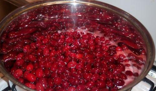 Варенье из замороженного кизила. Полезные свойства варенья из кизила