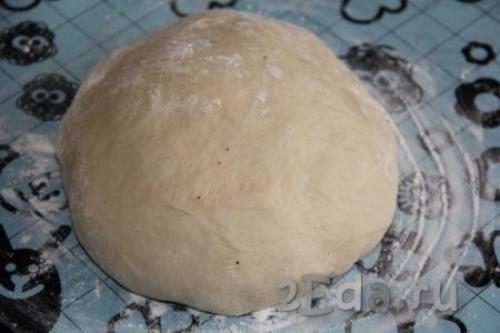 Тесто на йогурте для пиццы. Тесто для пиццы на йогурте 04 Тесто на йогурте для пиццы. Тесто для пиццы на йогурте 04