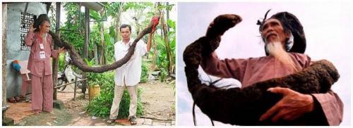 У кого в мире самые длинные волосы. У кого самые длинные волосы в мире? (Книга Гиннеса)