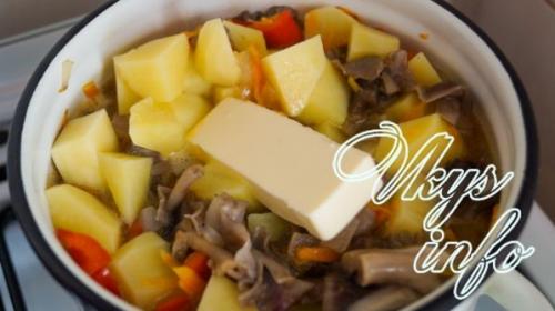 Тушеная картошка с грибами. Как приготовить тушеную картошку с лесными грибами