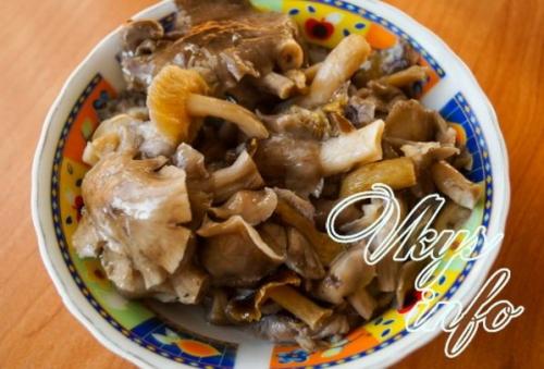 Тушеная картошка с грибами. Как приготовить тушеную картошку с лесными грибами