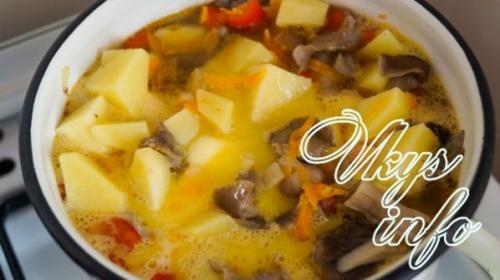 Тушеная картошка с грибами. Как приготовить тушеную картошку с лесными грибами