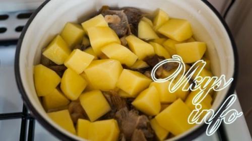 Тушеная картошка с грибами. Как приготовить тушеную картошку с лесными грибами