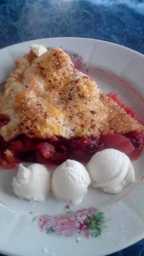 Шарлотка с ежевикой и яблоками. Пирог с ежевикой и яблоками 28 Шарлотка с ежевикой и яблоками. Пирог с ежевикой и яблоками 28