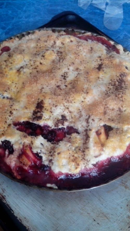 Шарлотка с ежевикой и яблоками. Пирог с ежевикой и яблоками 33 Шарлотка с ежевикой и яблоками. Пирог с ежевикой и яблоками 33