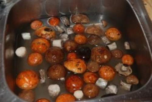 Самые вкусные маринованные белые грибы. Как мариновать белые грибы на зиму в домашних условиях