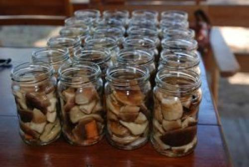 Самые вкусные маринованные белые грибы. Как мариновать белые грибы на зиму в домашних условиях