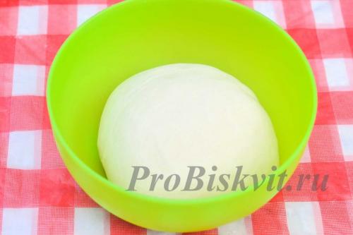 Тесто быстрого приготовления для пирожков. Ингредиенты