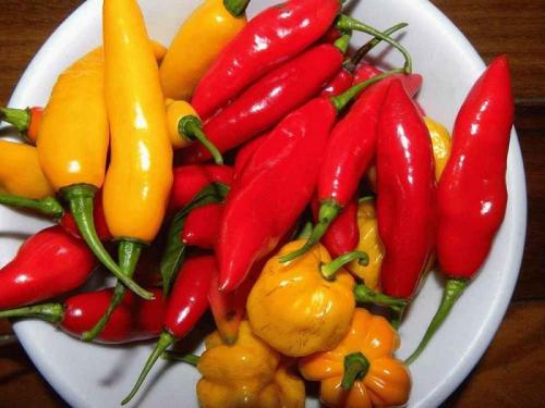Лечо с чили перцем. Ингредиенты : 19 Лечо с чили перцем. Ингредиенты : 19