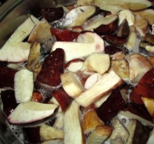 Самые вкусные маринованные белые грибы. Как мариновать белые грибы на зиму в домашних условиях