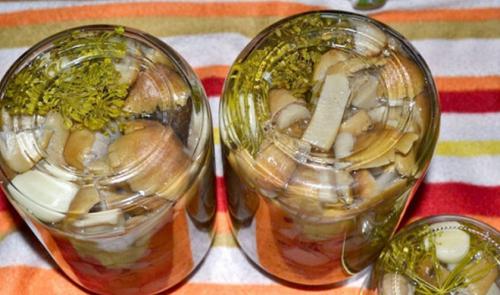 Гриб рядовка маринование. Маринованные рядовки: простые и вкусные рецепты