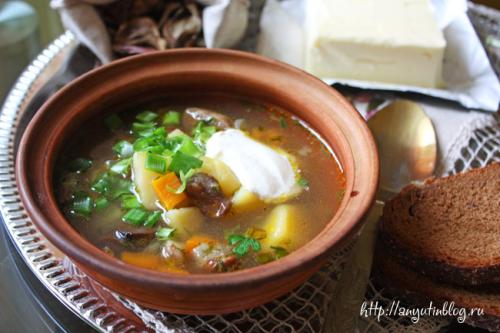 Суп с свежими польскими грибами. Суп со свежими грибами