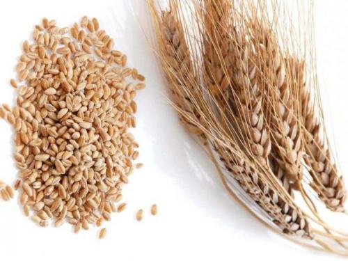 Каша пшенная с тыквой и мясом. Пшенная каша с тыквой и мясом 14 Каша пшенная с тыквой и мясом. Пшенная каша с тыквой и мясом 14