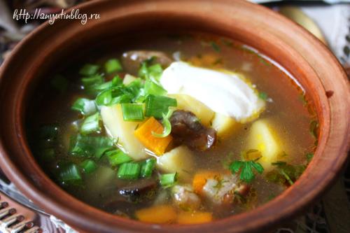 Суп с свежими польскими грибами. Суп со свежими грибами