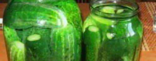 Салат из огурцов с кориандром на зиму. Латгальский салат из огурцов с луком на зиму 11 Салат из огурцов с кориандром на зиму. Латгальский салат из огурцов с луком на зиму 11