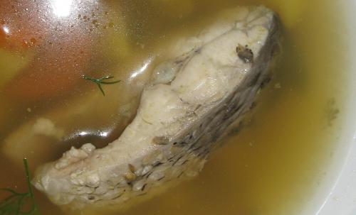 Уха из карпа с томатной пастой. Уха из карпа в домашних условиях и на костре: 2 пошаговых рецепта