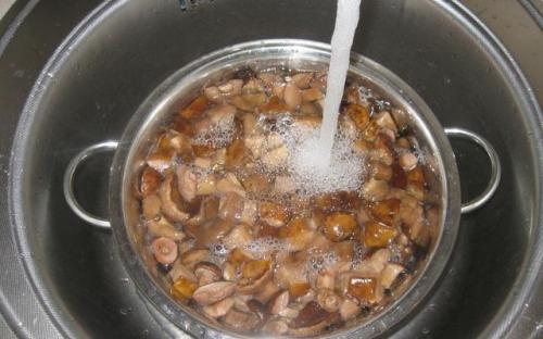 Польский гриб, как готовить на зиму. Опятам - особое внимание