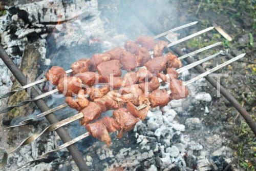 Шашлык на сковороде с майонезом. Шашлык из свинины с майонезом и луком – рецепт